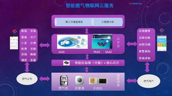 黑龍江省國家密碼管理局 筑牢網絡安全防線，引領信息安全軟件開發新篇章